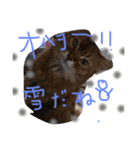mycatlife（個別スタンプ：27）