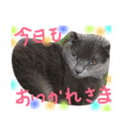 mycatlife（個別スタンプ：32）