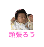 ひのたん（個別スタンプ：1）