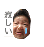 ひのたん（個別スタンプ：4）