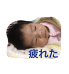 ひのたん（個別スタンプ：7）