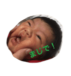 ひのたん（個別スタンプ：11）