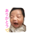 ひのたん（個別スタンプ：15）