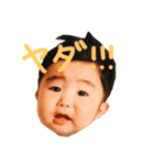 蒼さんスタンプ（個別スタンプ：13）