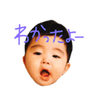 蒼さんスタンプ（個別スタンプ：29）