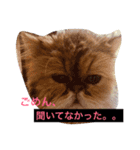 ゆうたとレオーネ2（個別スタンプ：1）