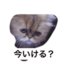 ゆうたとレオーネ2（個別スタンプ：2）