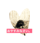 ゆうたとレオーネ2（個別スタンプ：3）