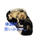 ゆうたとレオーネ2（個別スタンプ：4）