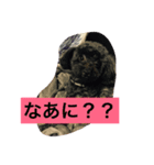 ゆうたとレオーネ2（個別スタンプ：5）