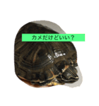 ゆうたとレオーネ2（個別スタンプ：6）