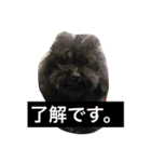 ゆうたとレオーネ2（個別スタンプ：9）