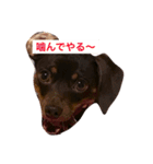 やんちゃマロン（個別スタンプ：3）