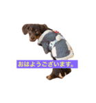 やんちゃマロン（個別スタンプ：25）