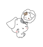Kathi Dog Puppy Cute Cute（個別スタンプ：27）