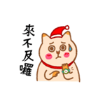 [howdiemeow] Spend Christmas with you（個別スタンプ：17）