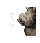 気分屋ねこ、べべ。4（個別スタンプ：4）