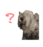 気分屋ねこ、べべ。4（個別スタンプ：8）