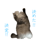 気分屋ねこ、べべ。4（個別スタンプ：9）