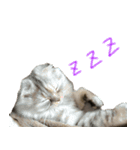 気分屋ねこ、べべ。4（個別スタンプ：15）