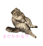 気分屋ねこ、べべ。4（個別スタンプ：16）