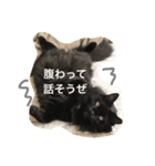 N.Yoko 2（個別スタンプ：1）