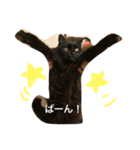 N.Yoko 2（個別スタンプ：3）