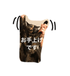 N.Yoko 2（個別スタンプ：4）