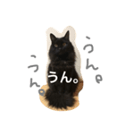 N.Yoko 2（個別スタンプ：8）