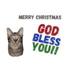 クリスマスキャット（個別スタンプ：2）