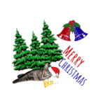 クリスマスキャット（個別スタンプ：4）