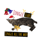 クリスマスキャット（個別スタンプ：5）
