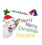 クリスマスキャット（個別スタンプ：6）