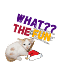 クリスマスキャット（個別スタンプ：7）