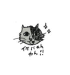 ねこでスタ（個別スタンプ：6）