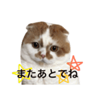 うちのキングさん②♡（個別スタンプ：18）