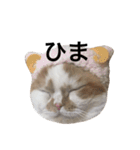 うちのキングさん②♡（個別スタンプ：22）