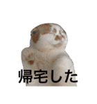 うちのキングさん②♡（個別スタンプ：23）