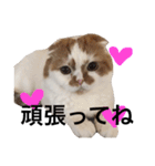 うちのキングさん②♡（個別スタンプ：24）