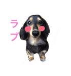 喜怒哀楽ぽこちゃん（個別スタンプ：25）