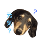 喜怒哀楽ぽこちゃん（個別スタンプ：28）