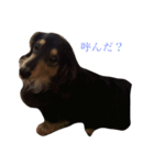 喜怒哀楽ぽこちゃん（個別スタンプ：33）
