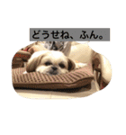 桜さん日和（個別スタンプ：1）
