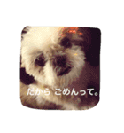 桜さん日和（個別スタンプ：4）