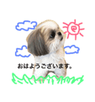桜さん日和（個別スタンプ：10）