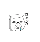 しろくま。【神戸弁】（個別スタンプ：24）