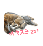 ぼくとわたしの生活（個別スタンプ：3）