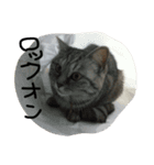 ぼくとわたしの生活（個別スタンプ：8）