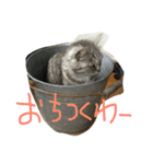 ぼくとわたしの生活（個別スタンプ：12）