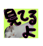 catheart（個別スタンプ：6）
